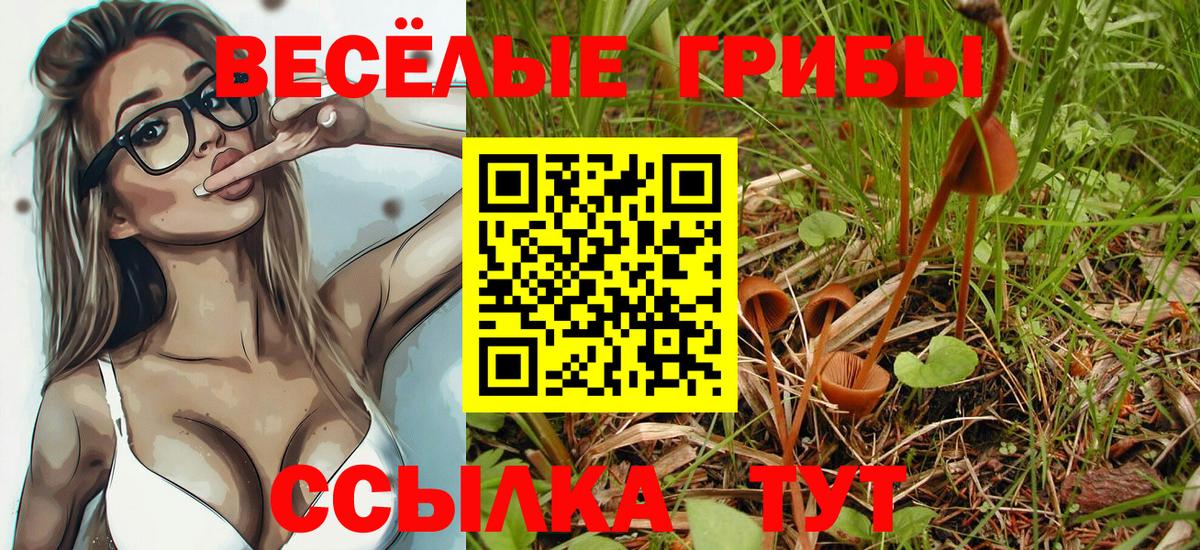 Псилоцибиновые грибы GOLDEN TEACHER Вязники